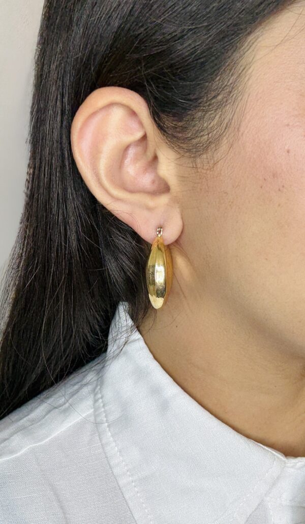 Luna Crescent Hoops