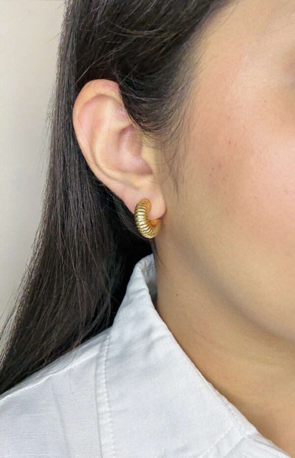 Mini Arc Hoops