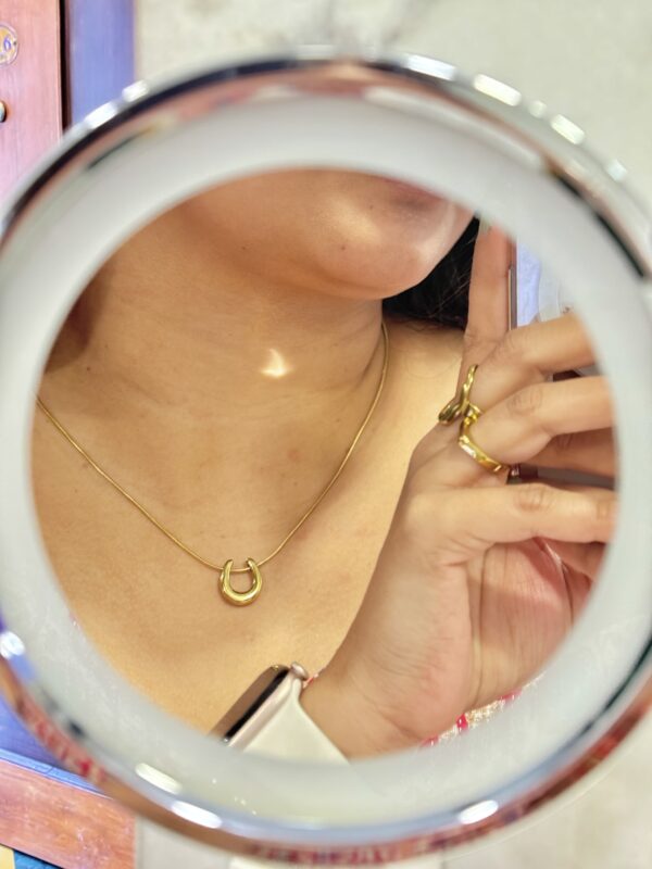 Horseshoe Arc Necklace