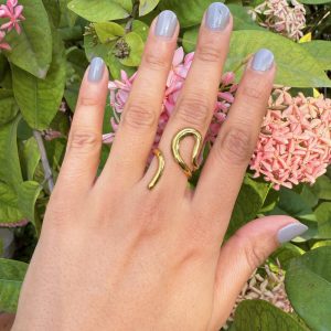 Fluid Loop Ring
