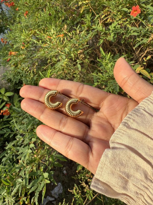 Mini Arc Hoops